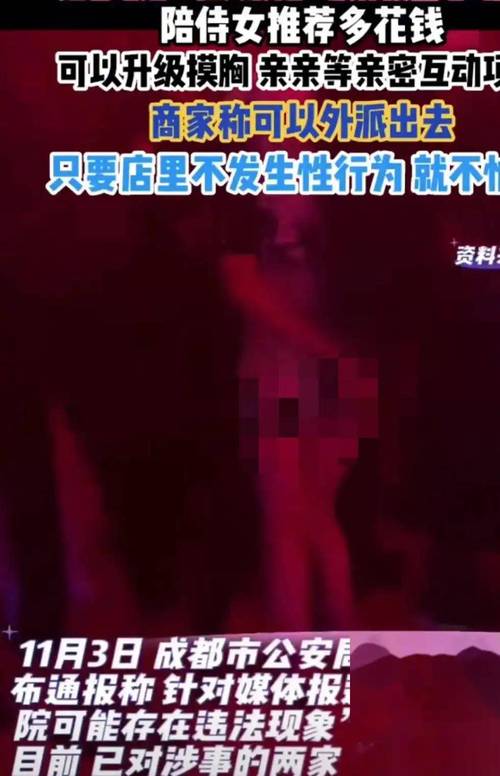 18岁末年禁止免费影院的相关介绍