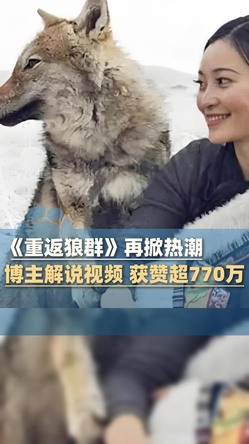 天龙高清影院在线观看 - 最新热播电影电视剧免费追剧，高清无广告流畅体验
