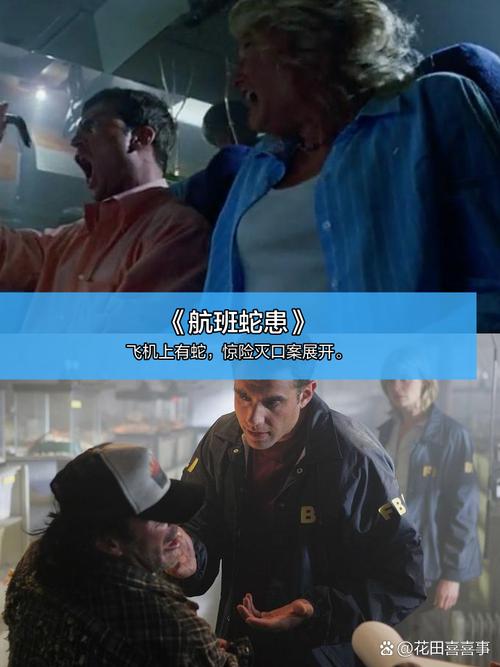 168影院在线观看 - 最新高清电影免费播放平台，168影院在线观看无广告版资源推荐