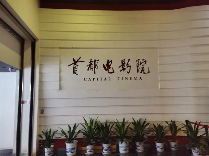 深度影院：海量高清资源免费在线观看，畅享无广告极致观影体验