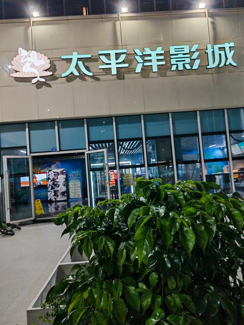 老子神马影院午夜欧美：经典影视资源与深夜观影体验的深度解析