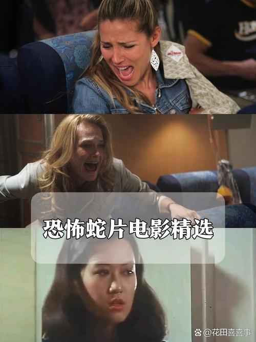 莉莉影院在线观看哈哈 - 最新高清影视资源免费追剧推荐站