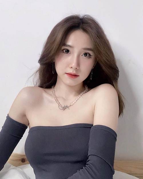 .app免费下载视频的相关介绍
