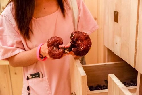 不卡影院-全网最新高清影视免费在线观看，不卡顿无广告追剧神器