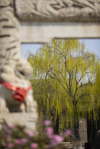 久国产精品久久的相关介绍
