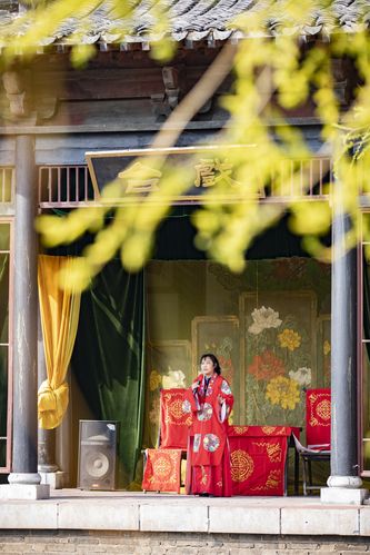 6090青苹果影院在线看 - 高清免费追剧平台，最新热门影视资源与无广告流畅观影体验
