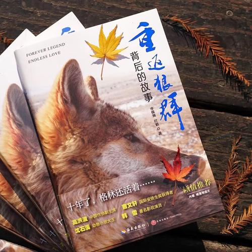 月光影院免费视频在线观看 | 最新热门电影电视剧免费追剧平台
