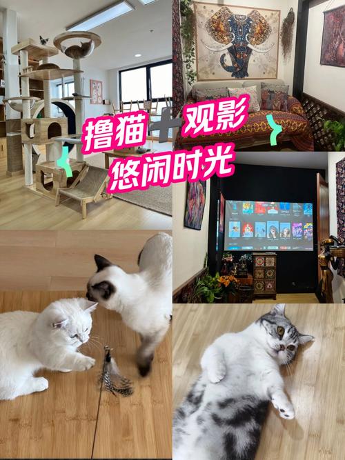 久久精品少妇av的相关介绍