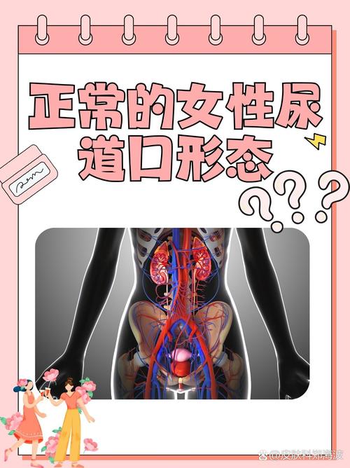 一边摸一边舔的视频的相关介绍